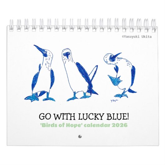 'Birds of Hope' Calendar 2026 Kalender (Titelbild)