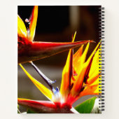 Birds of Paradise: Flower from Mexico Notizblock (Rückseite)