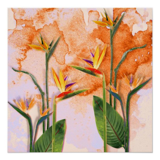 Birds of Paradise in Bloom Poster (Vorderseite)