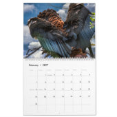 BIRDS OF PREY ART #1 KALENDER (Feb 2027)