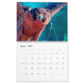 BIRDS OF PREY ART #1 KALENDER (Mär 2027)