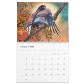 BIRDS OF PREY ART #1 KALENDER (Jan 2027)