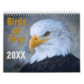 Birds of Prey Calendar Kalender (Titelbild)