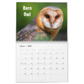 Birds of Prey Calendar Kalender (Mär 2027)