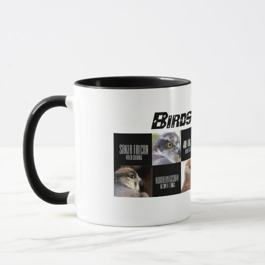 Birds of Prey Tasse (Links)