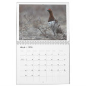 Birds of Southern Alaska and Canada calendar Kalender (Mär 2026)