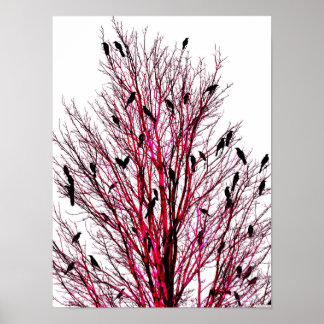 "Birds of Texas Red" JTG Art Poster