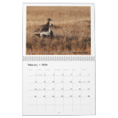 Birds of the Alaskan Tundra Calendar Kalender (Feb 2026)