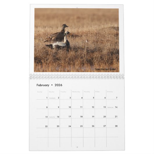 Birds of the Alaskan Tundra Calendar Kalender (Feb 2026)