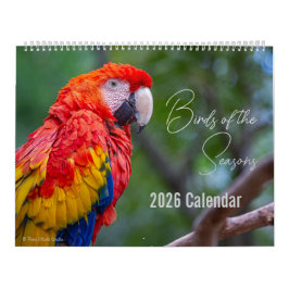 Birds of the Seasons 12 Month Nature Calendar Kalender