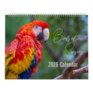 Birds of the Seasons 12 Month Nature Calendar Kalender