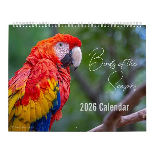 Birds of the Seasons 12 Month Nature Calendar Kalender (Titelbild)