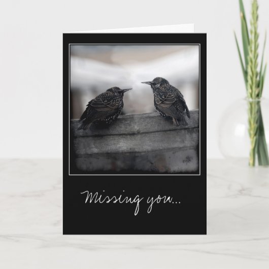 Birds on Missing You greeting card Karte (Vorderseite)