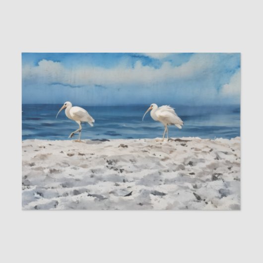Birds on the Beach Tissue Paper Seidenpapier (Vorderseite)