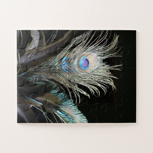 Birds Peacock Feathers Puzzle (Horizontal)