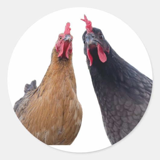 Birds with Attitude Sticker (Vorderseite)