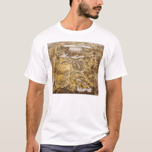 Birdseye Ansicht des Central Park - John Bachman T-Shirt