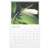 Birdseye kardiert 2008 kalender (Mär 2027)