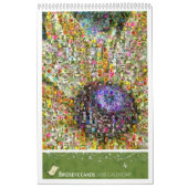 Birdseye kardiert 2008 kalender (Titelbild)