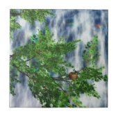 Birdsnest Falls Decorative Tile / Trivet Fliese (Vorderseite)