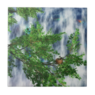 Birdsnest Falls Decorative Tile / Trivet Fliese