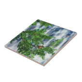 Birdsnest Falls Decorative Tile / Trivet Fliese (Seite)
