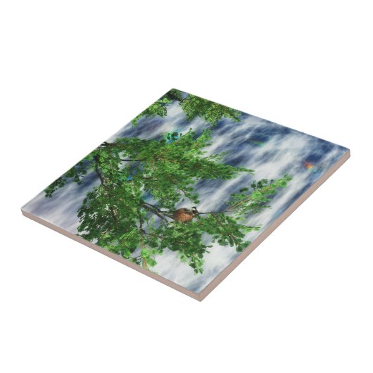 Birdsnest Falls Decorative Tile / Trivet Fliese (Seite)