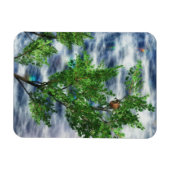 Birdsnest Falls Flexible Magnet (Horizontal)