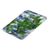 Birdsnest Falls Flexible Magnet (Linke Seite)