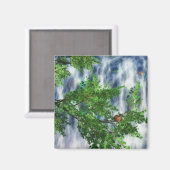 Birdsnest Falls Magnet (Vorderseite/Rückseite)