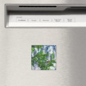 Birdsnest Falls Magnet (In Situ (Geschirrspüler))