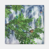 Birdsnest Falls Magnet (Vorne)