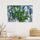 Birdsnest Falls Print Poster (Küche)