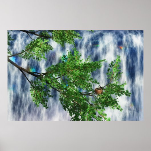 Birdsnest Falls Print Poster (Vorne)
