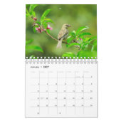 Birdwatchers Association 2025 Foto Calendar Kalender (Jan 2027)