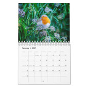 Birdwatchers Association 2025 Foto Calendar Kalender (Feb 2027)