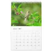 Birdwatchers Association 2025 Foto Calendar Kalender (Jan 2027)