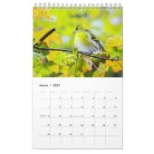 Birdwatchers Association 2025 Foto Calendar Kalender (Mär 2027)