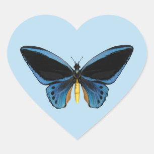 Birdwing Butterfly Herz-Aufkleber
