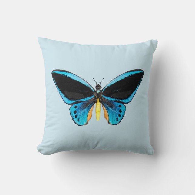 Birdwing Butterfly Kissen (Vorderseite)