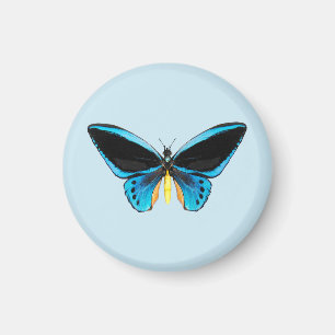 Birdwing Butterfly Magnet