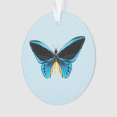 Birdwing Butterfly Ornament (Vorderseite)