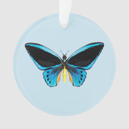 Birdwing Butterfly Ornament (Vorderseite)