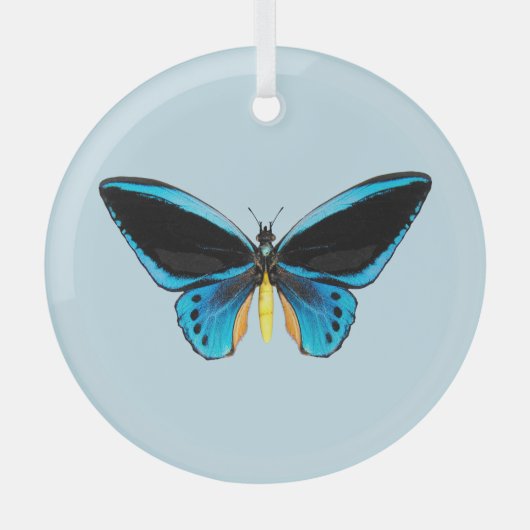 Birdwing Butterfly Ornament Aus Glas (Vorderseite)