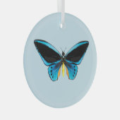 Birdwing Butterfly Ornament Aus Glas (Vorderseite Rechts)