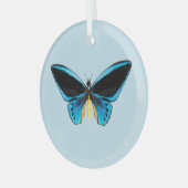 Birdwing Butterfly Ornament Aus Glas (Vorderseite links)