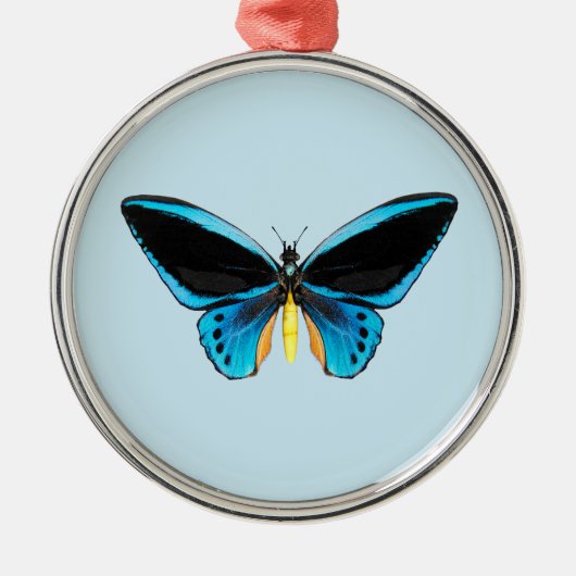 Birdwing Butterfly Ornament Aus Metall (Vorne)