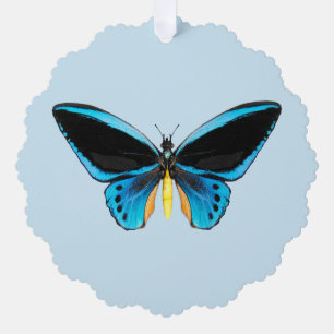 Birdwing Butterfly Ornament Karte