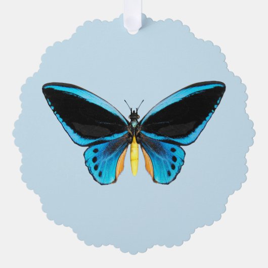 Birdwing Butterfly Ornament Karte (Vorderseite)