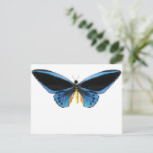 Birdwing Butterfly Postkarte (Stehend Vorderseite)